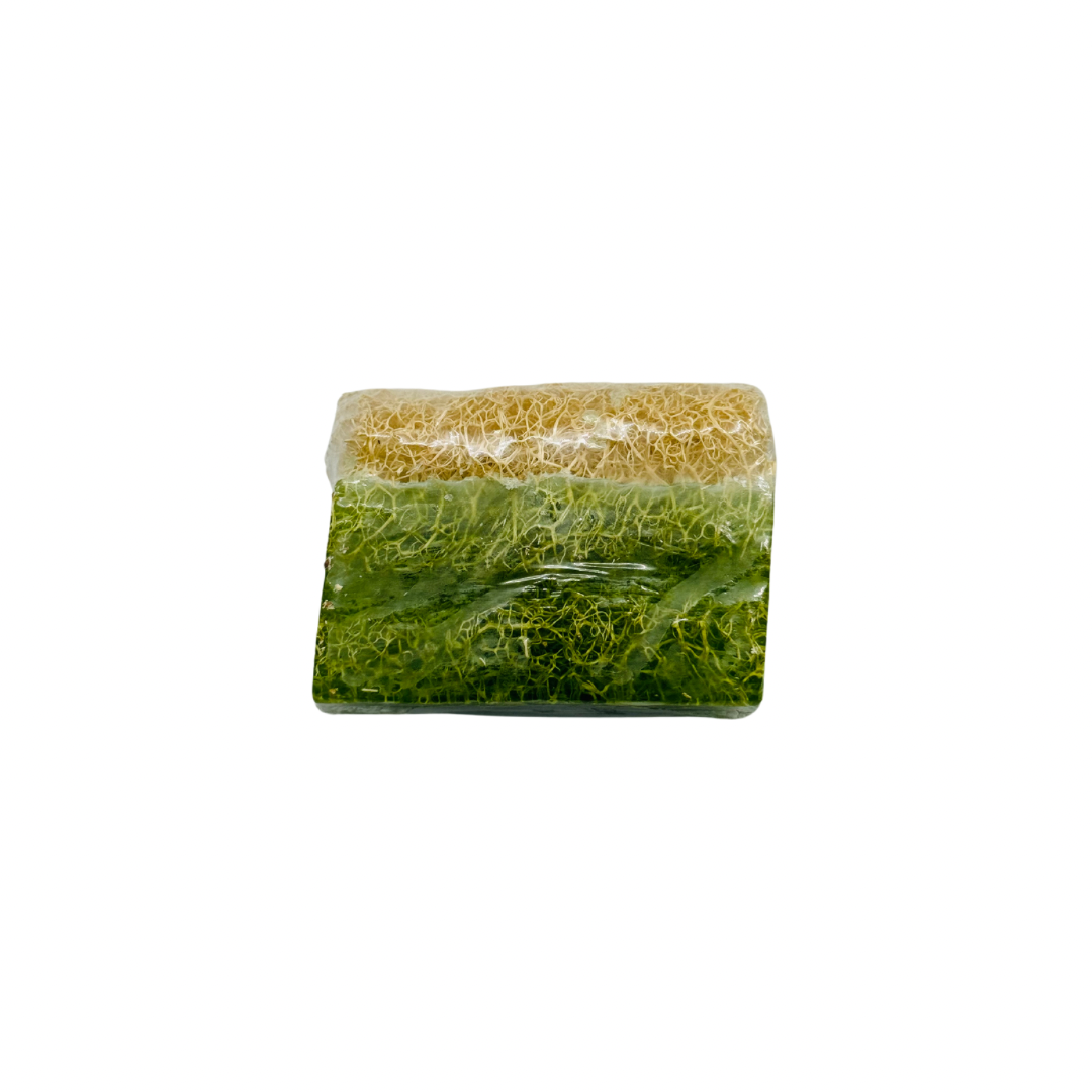 Olive Loofah Bar