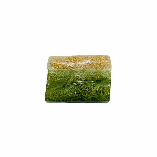 Olive Loofah Bar